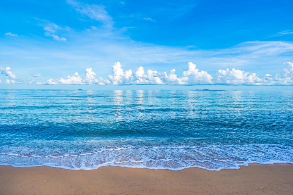 🏖️ Un projet de sortie à la mer pour clôturer l’année scolaire ! 🌊